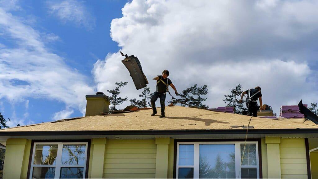 Roof inspection