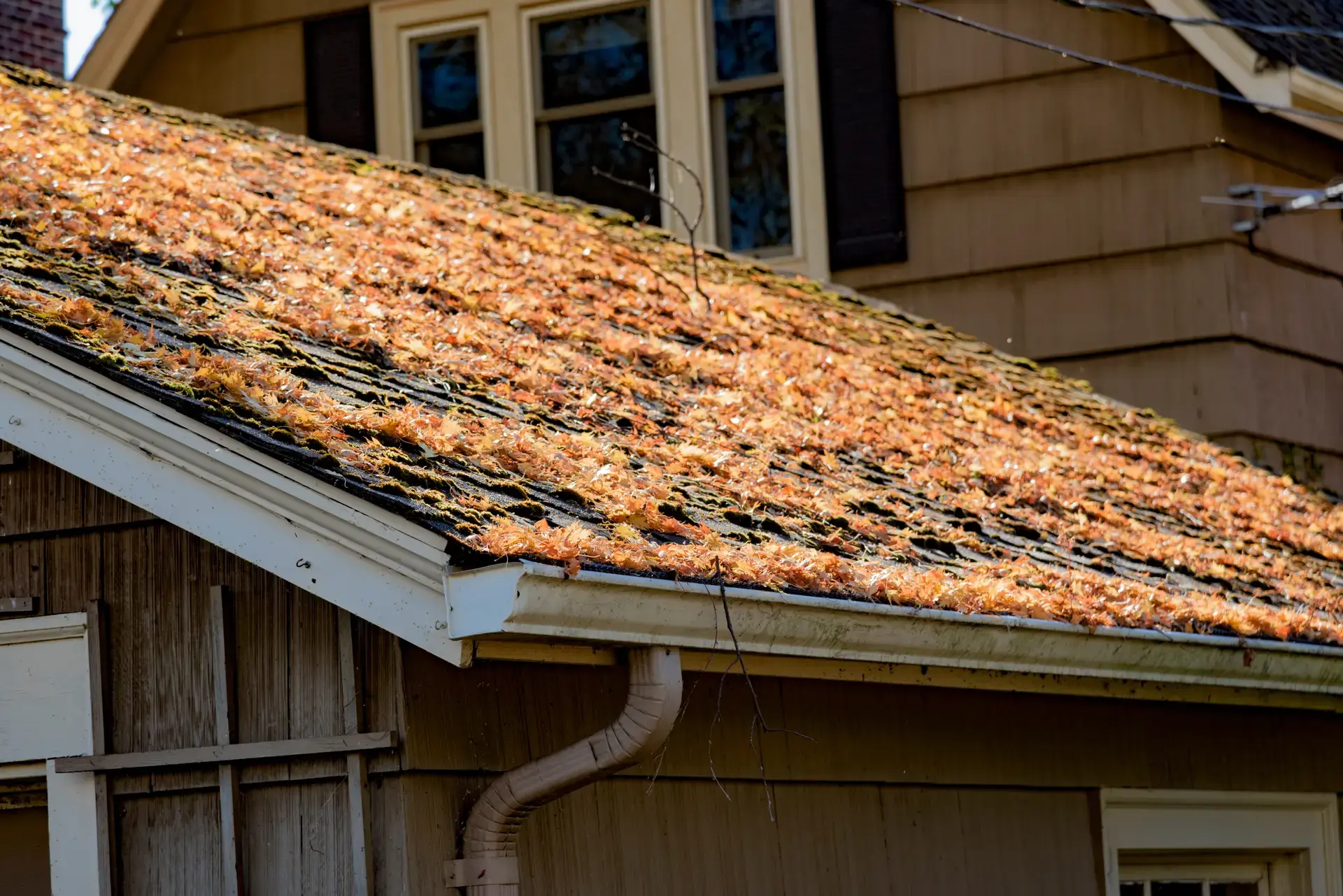 How to Maintain Your Roof Through the Seasons